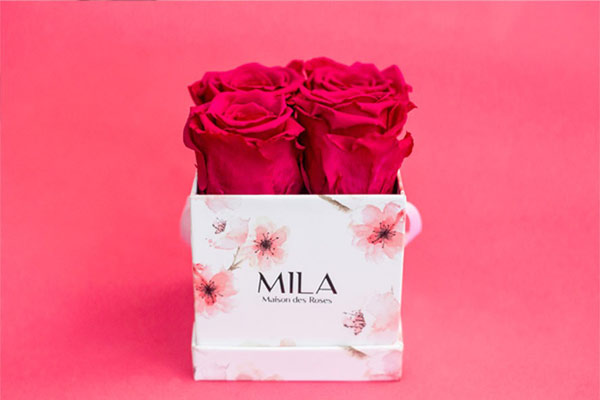 Mila Roses - Everlasting roses
